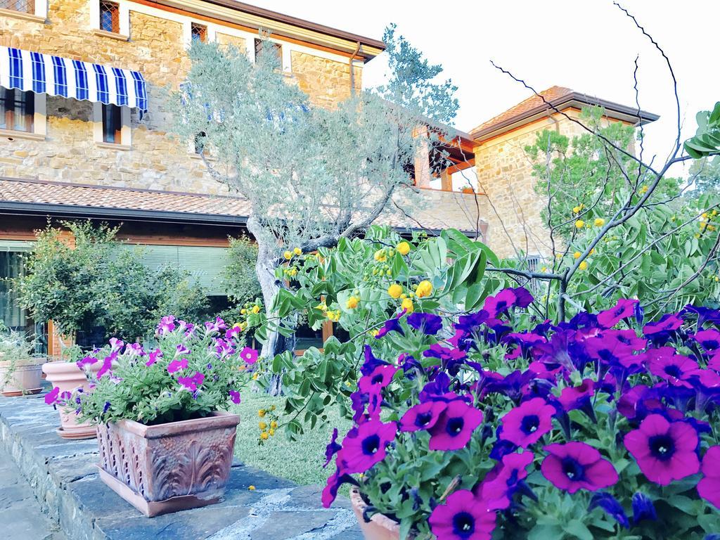 Casa Vacanze Il Cenito Castellabate Exterior foto