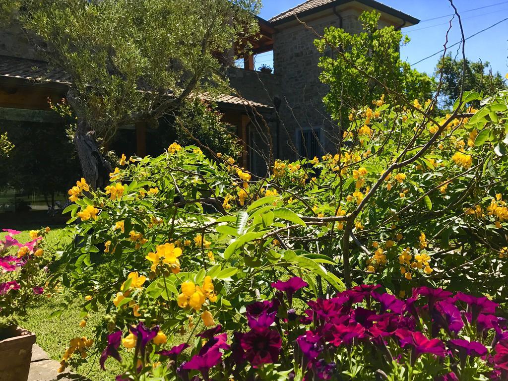 Casa Vacanze Il Cenito Castellabate Exterior foto